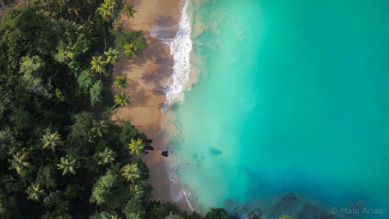 El Encuentro Surf Lodge Кабарете Экстерьер фото